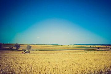 ferme mai 2018